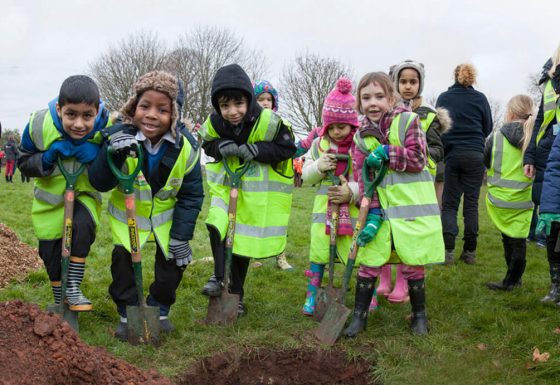 Helping Young Planting