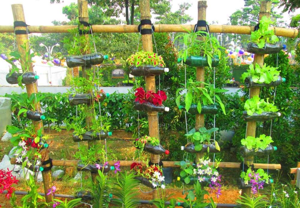 Recycling Plastic Bottle