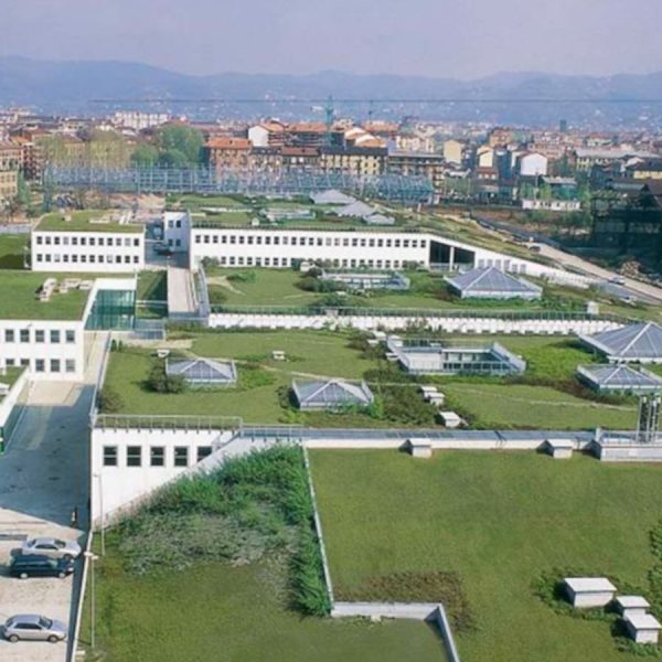tetti verdi in città