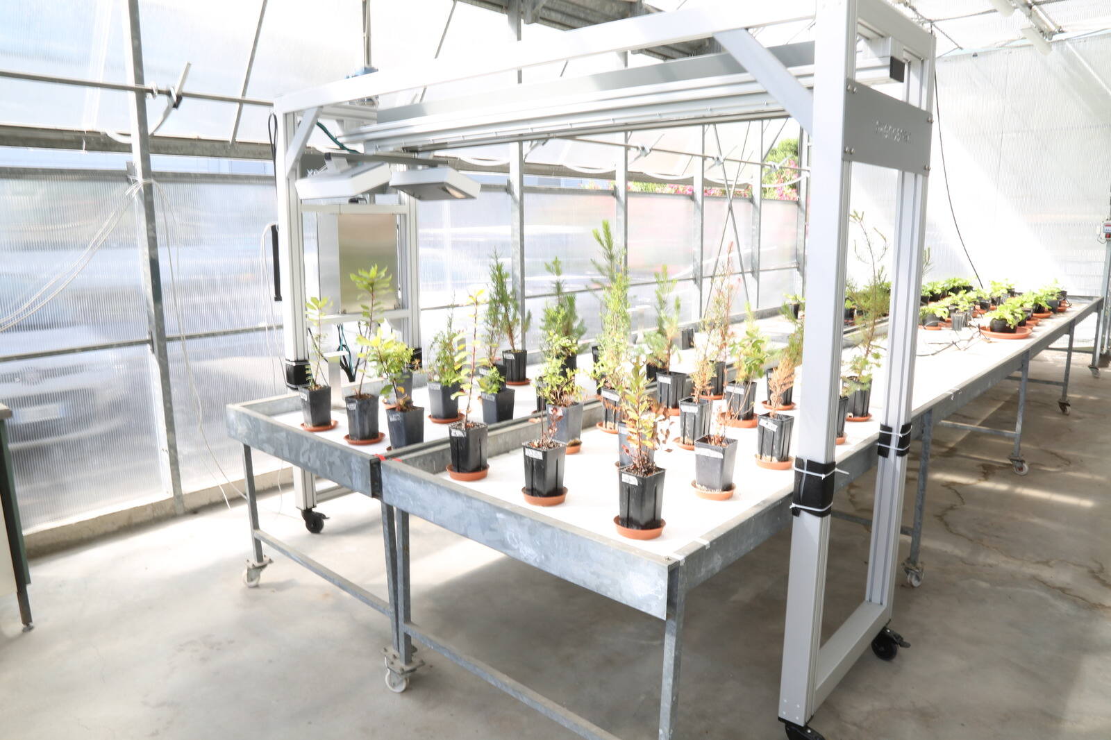 Digital Plant Phenotyping - IRET