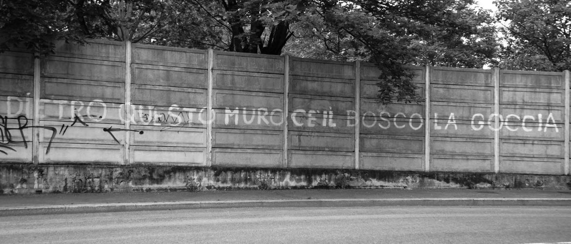 muro con dietro bosco la goccia