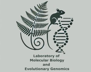 foto lab biologia molecolare