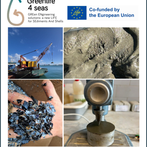 trasformazione dei gusci di cozze in farina per le costruzioni