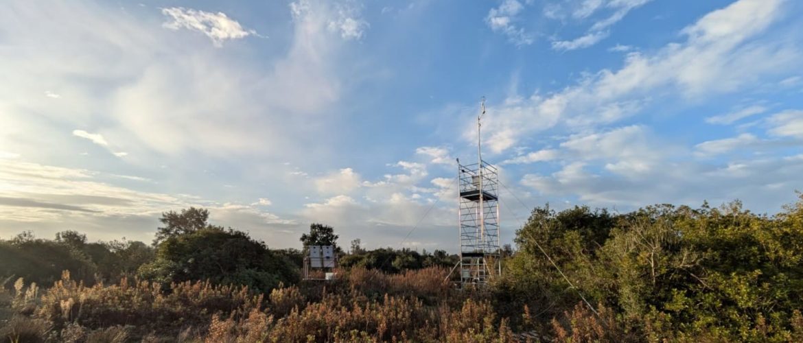 torre eddy-covariance nella macchia mediterranea