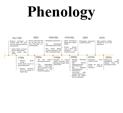 diagramma della fenologia