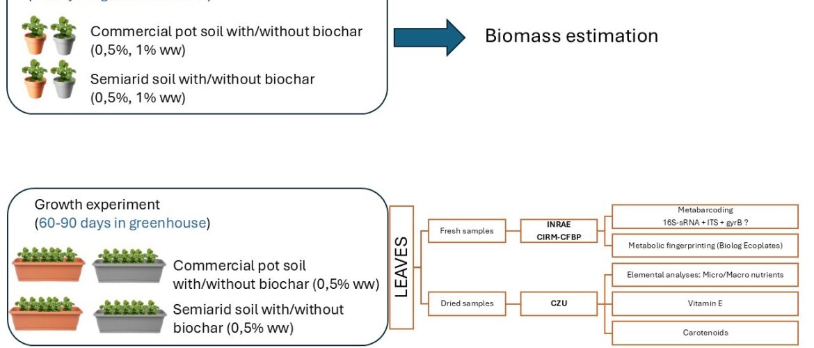 schema sperimentale del progetto