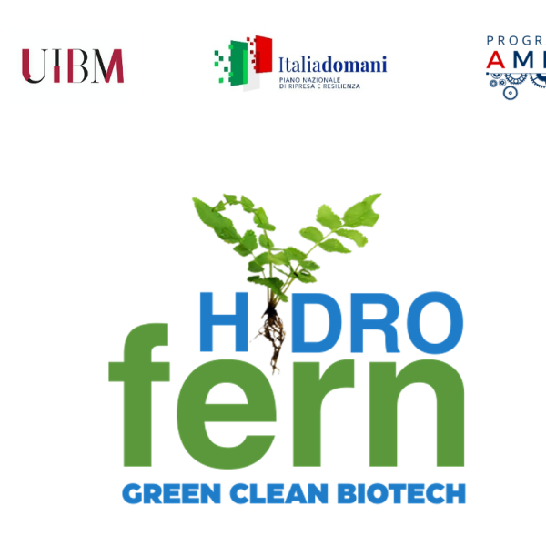 HYDRO FERN per la depurazione delle acque