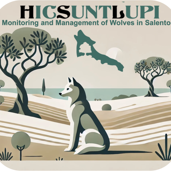 Canis lupus