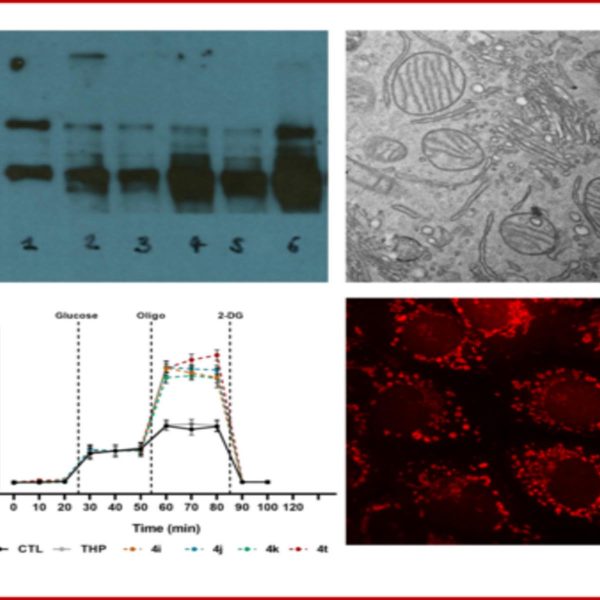 foto lab metabolismo cellulare
