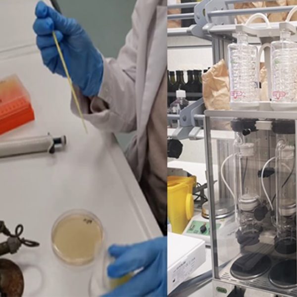 collage di foto di laboratorio