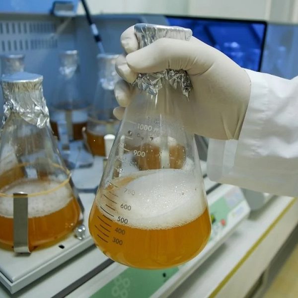 Microbial and enzymatic biotechnologies