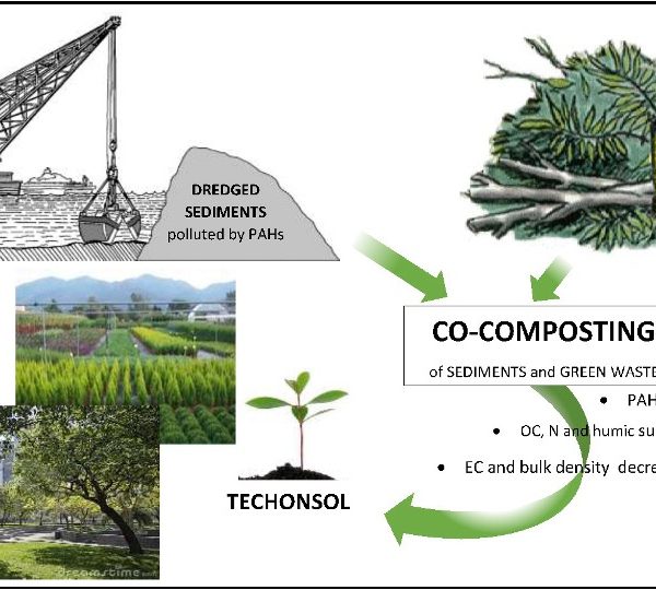 diagramma di flusso Agrised