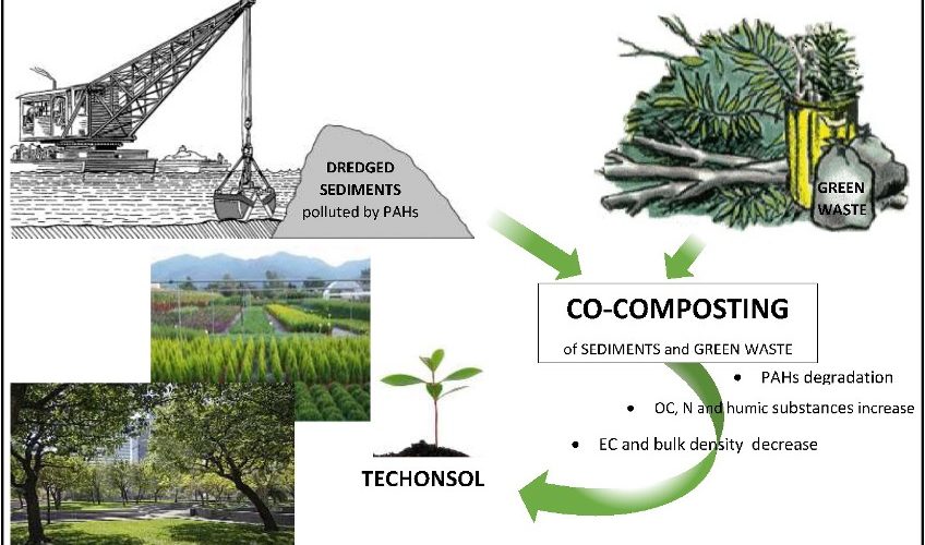 diagramma di flusso Agrised