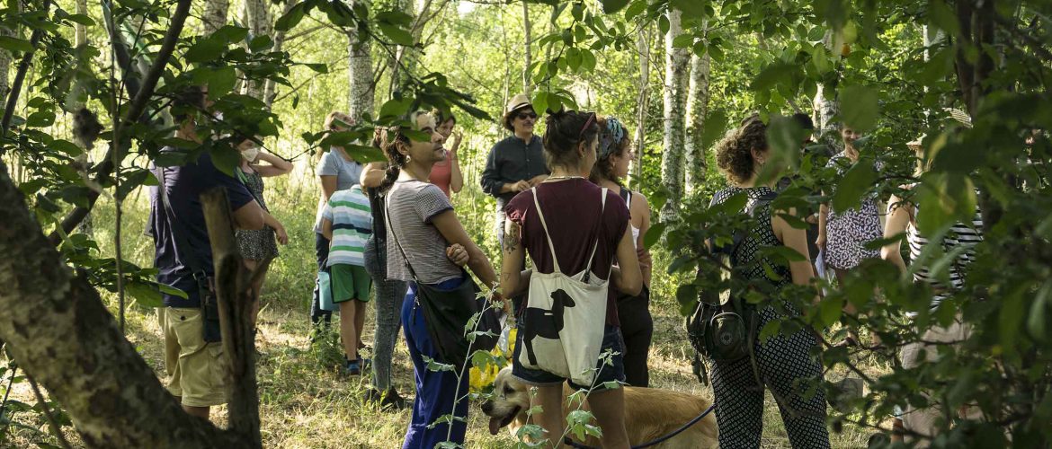 persone tra gli alberi