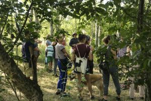 persone tra gli alberi