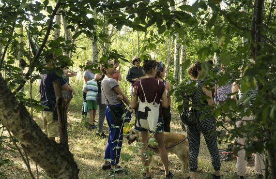 persone tra gli alberi