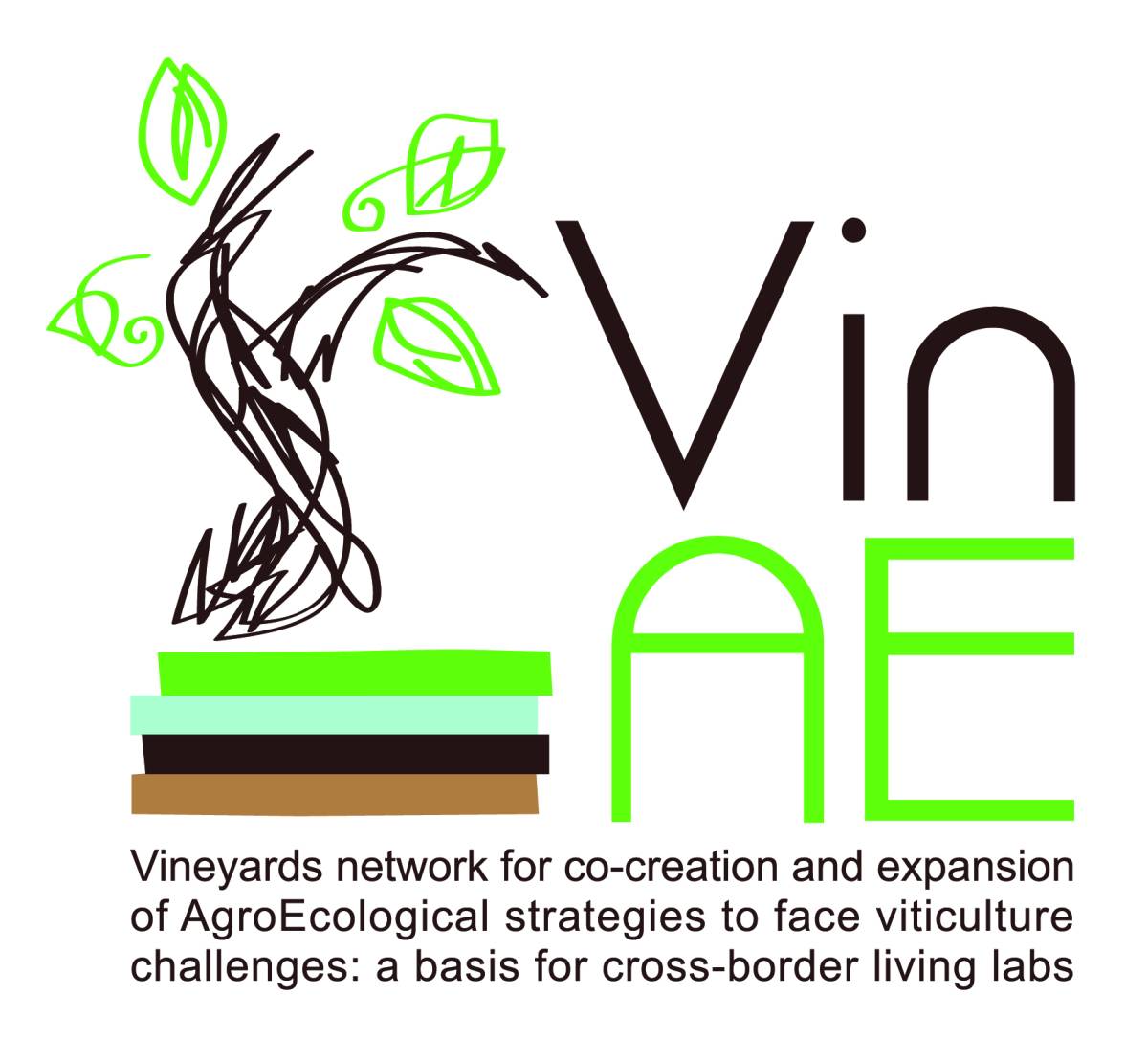 LOGO VINAE