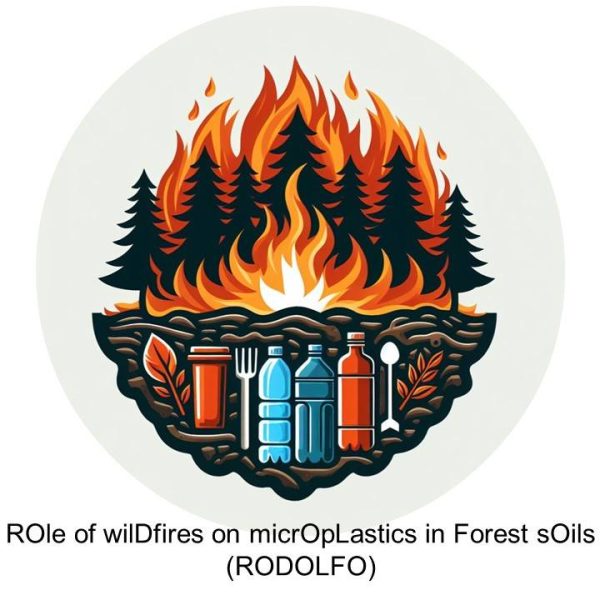 RODOLFO_logo 2